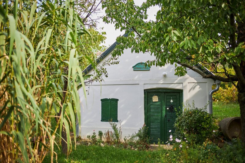 4236_IMG_3540_250910_