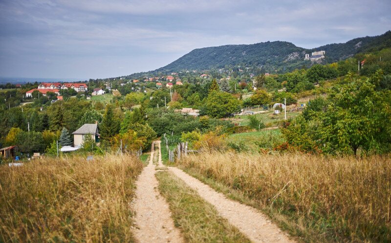 4253_IMG_3584_250910_