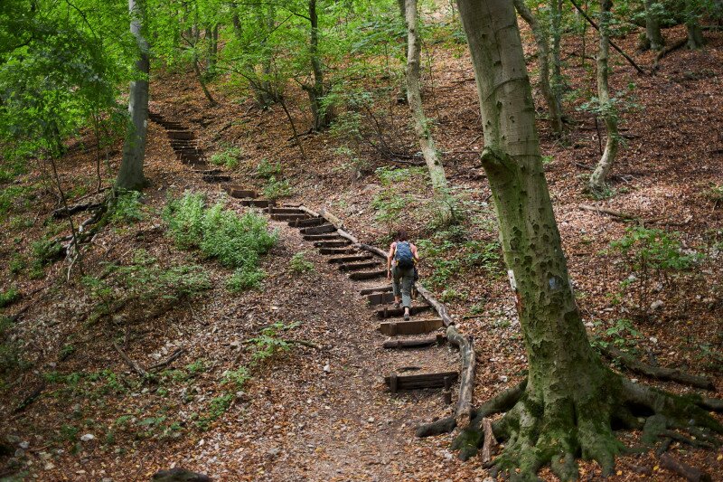 4271_IMG_3621_250910_