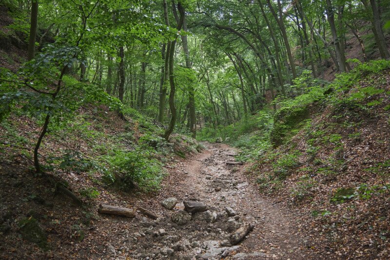 4298_IMG_3688_250910_