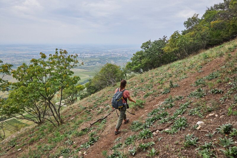 4312_IMG_3726_250910_