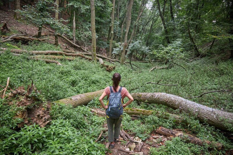 4327_IMG_3766_250910_