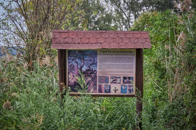 4349_IMG_3815_250910_