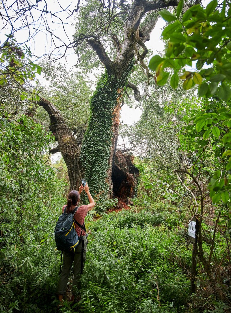 4367_IMG_3883_250910_