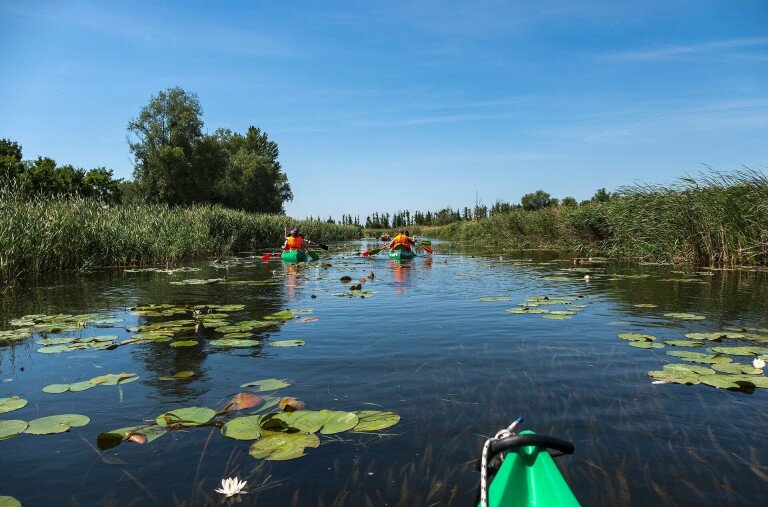 Megnéztük Fekete István Kis-Balatonját