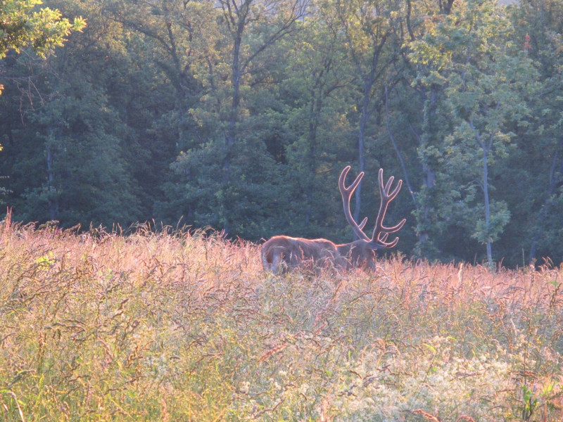 487538551_1094088406082857_170814363383586233_n