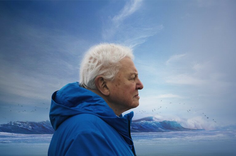 99 évesen új filmmel és új könyvvel jelentkezett David Attenborough