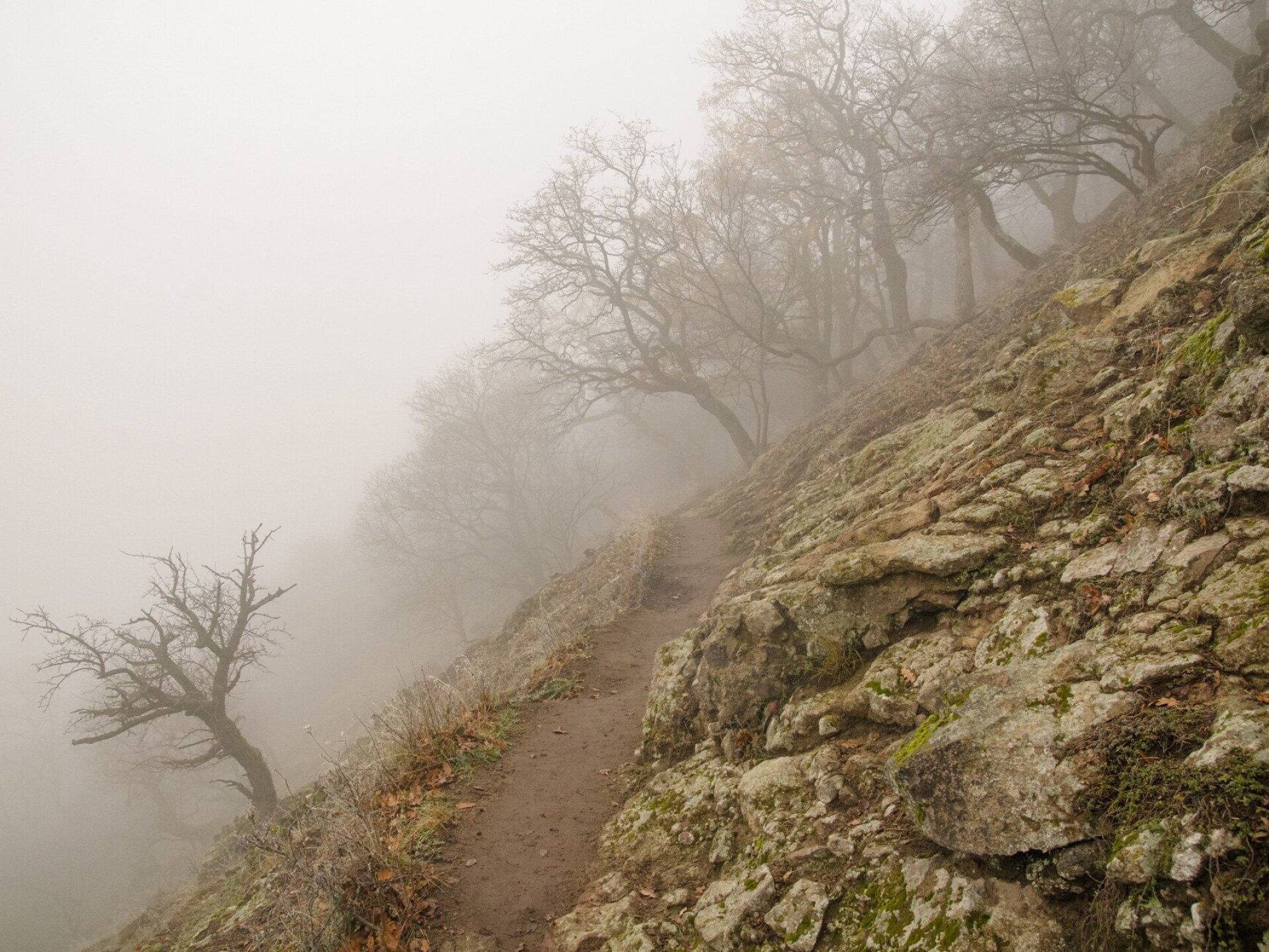 Instant túra a ködös Visegrádi-hegységben