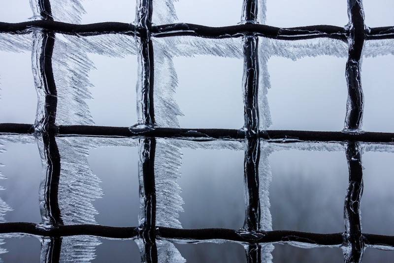 ����������������������������������������������������������������