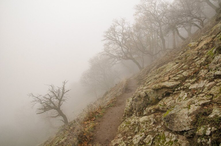 Instant túra a ködös Visegrádi-hegységben