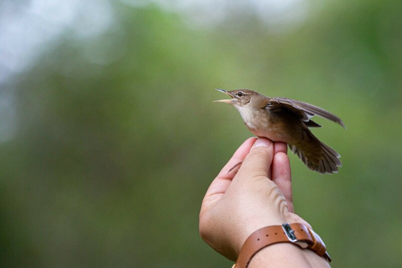 52-_mg_8471-09693303-3045878