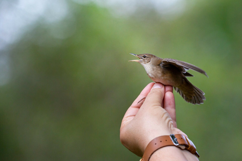 52-_mg_8471-09693303-3045878