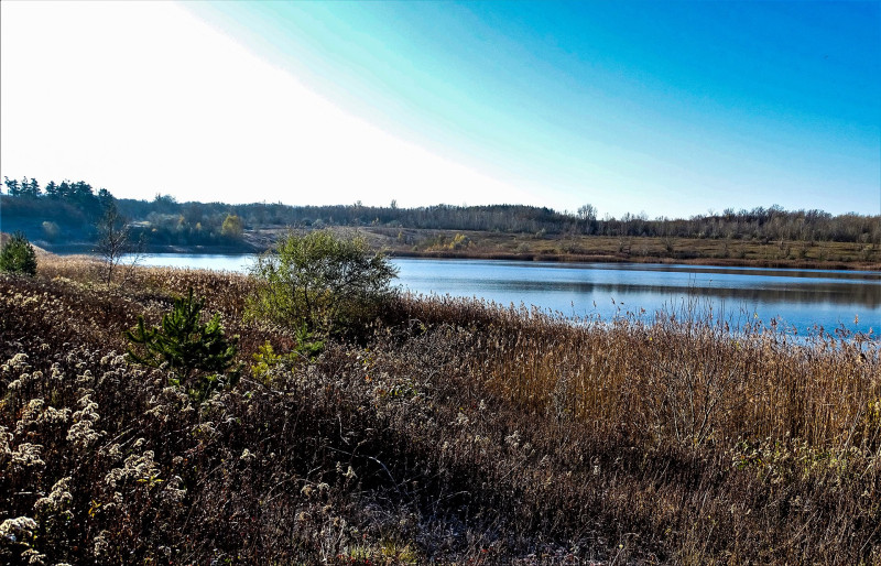 ����������������������������������������������������������������