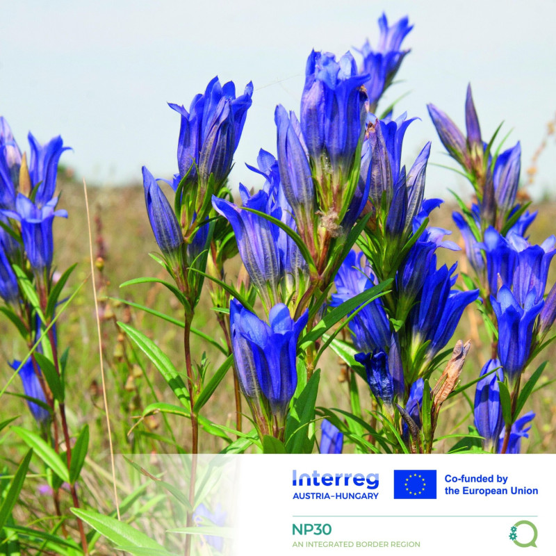 541193993_1221342056700513_2916863384451405370_n