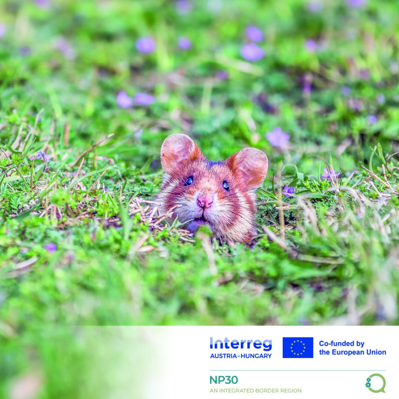 541677716_1221410596693659_6129610766613853923_n