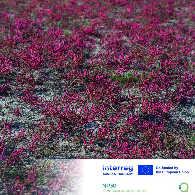 542750277_1222469996587719_8470653610366122881_n