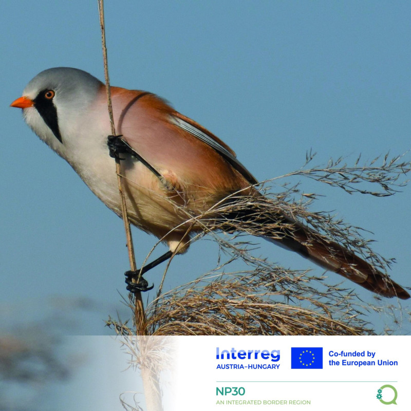 542751638_1222480129920039_5757359748145014300_n