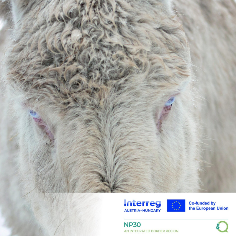 542757196_1221336733367712_7066557125724747353_n