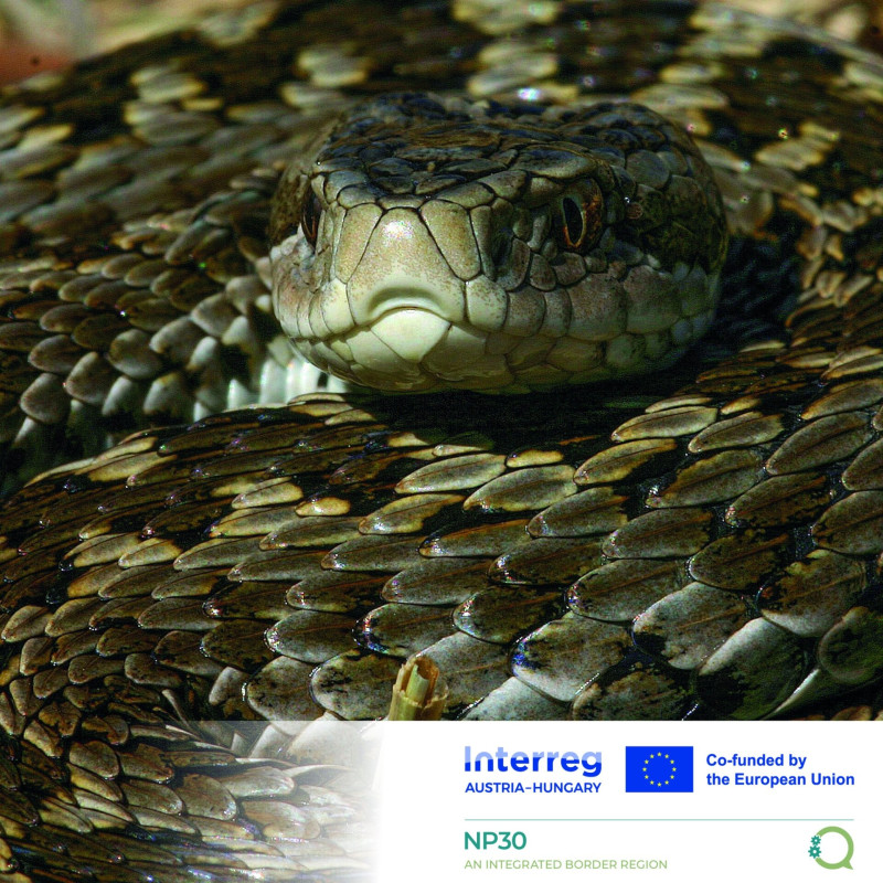 542761471_1221419876692731_5603055349985375035_n