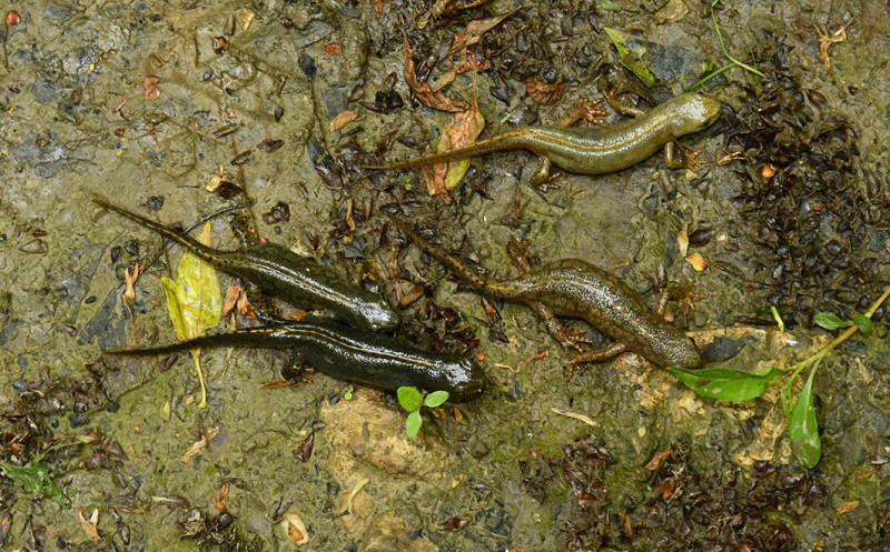 545753962_1220696196766765_8229408904690309100_n