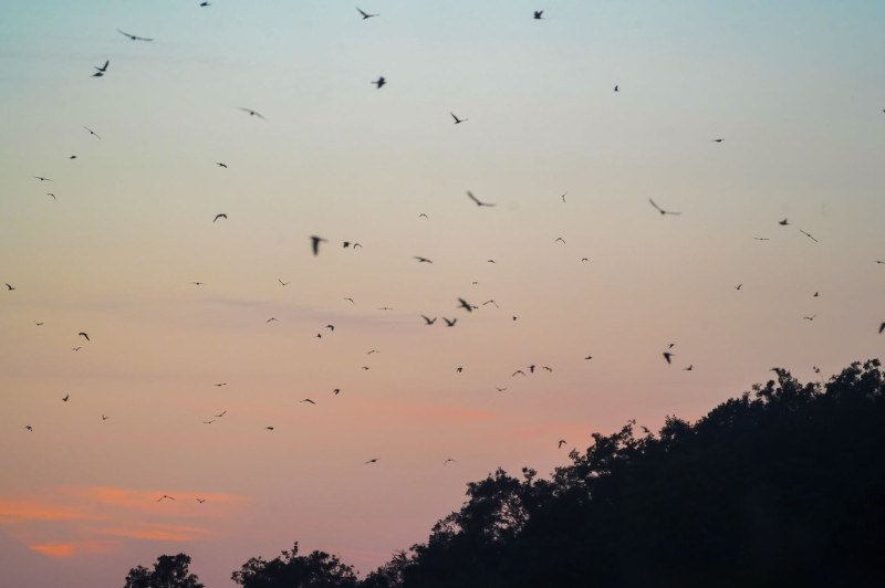 549150481_1255395916624753_1599819185395289035_n