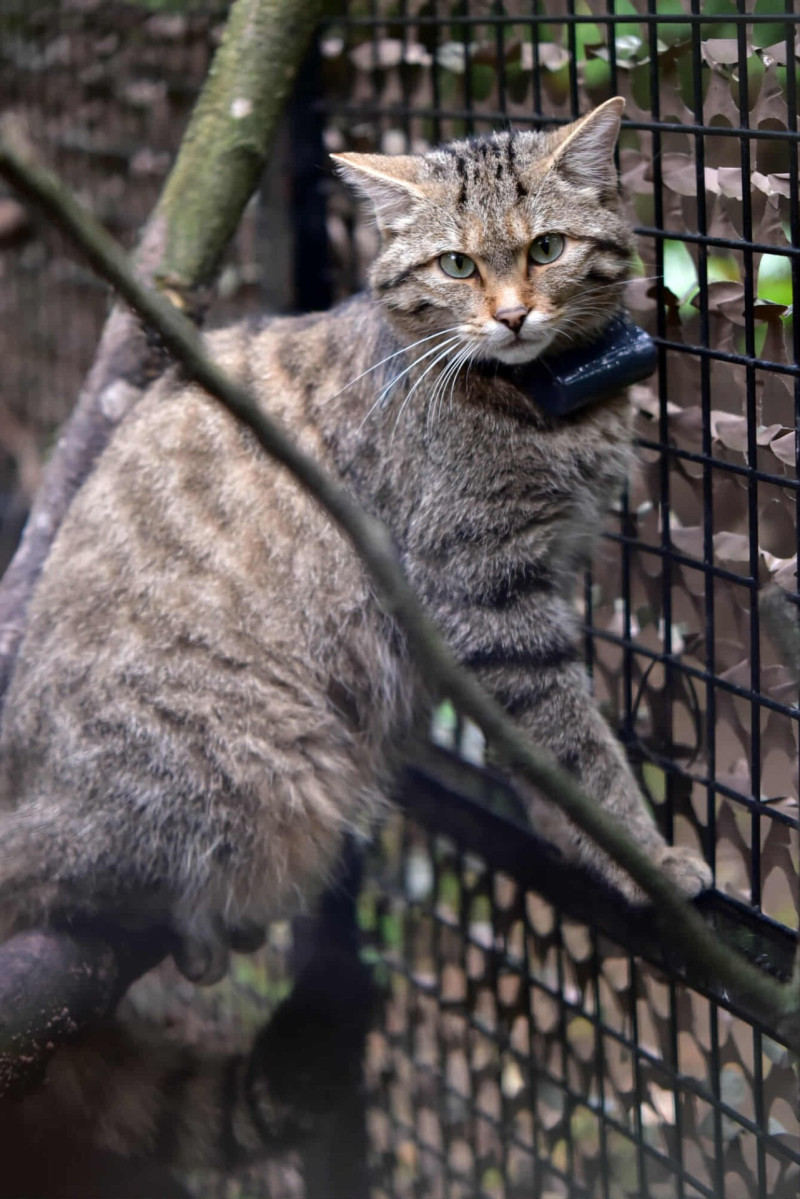 553007204_1259414872894535_4474922234189023960_n