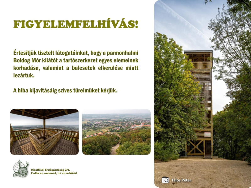 556128217_1310852337501770_734323427291839836_n