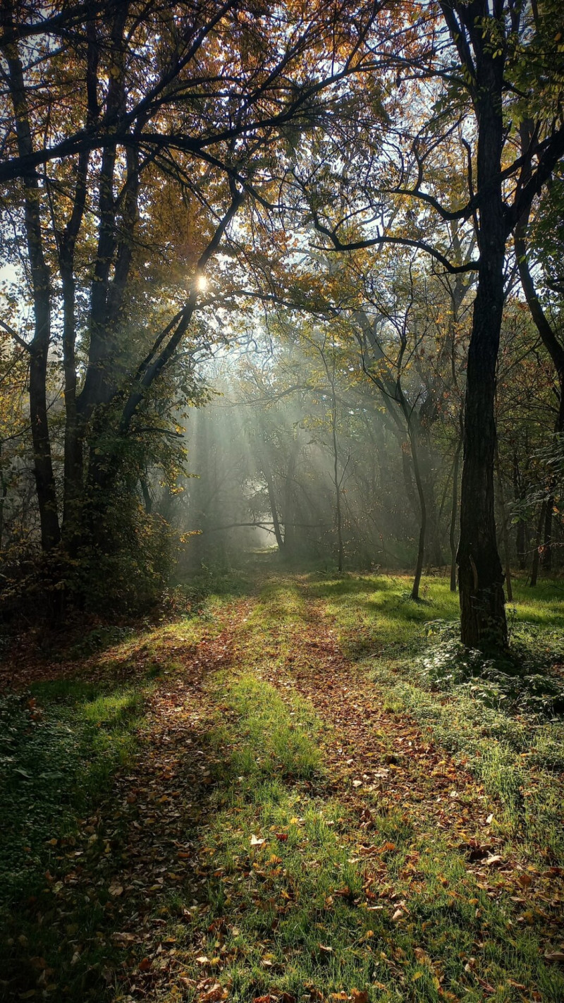 559430128_1246904804134549_2588954487095521371_n