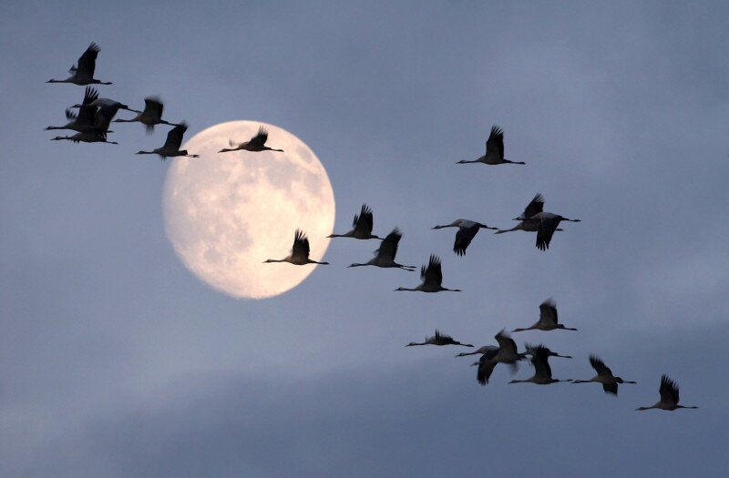 573110495_1267329205425442_4433322525122909744_n