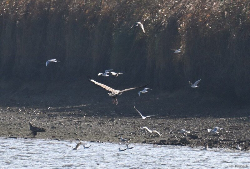 573858795_1258703949632016_5302542740566349259_n