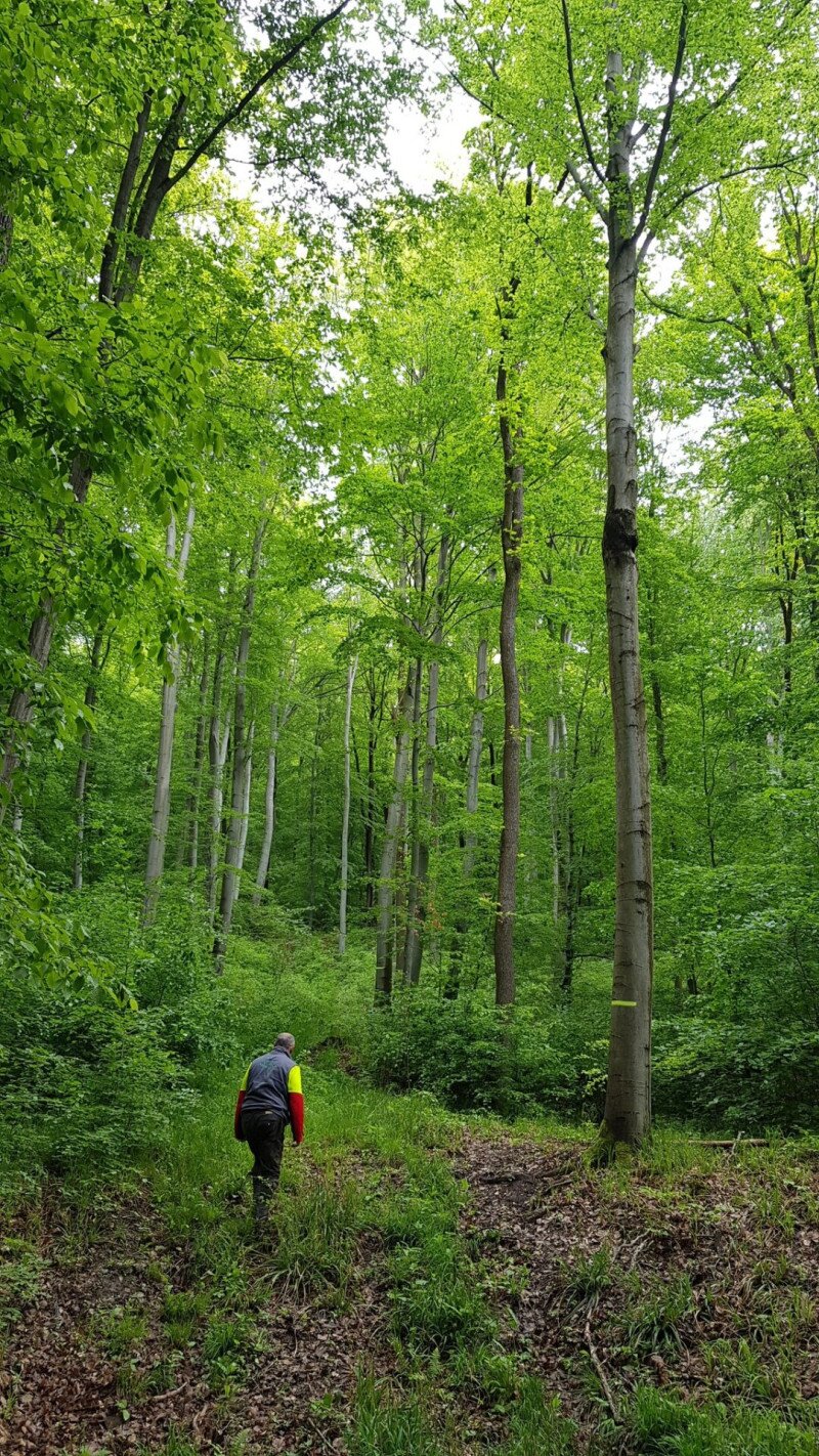 579858033_1276893911146993_3673469291664455919_n