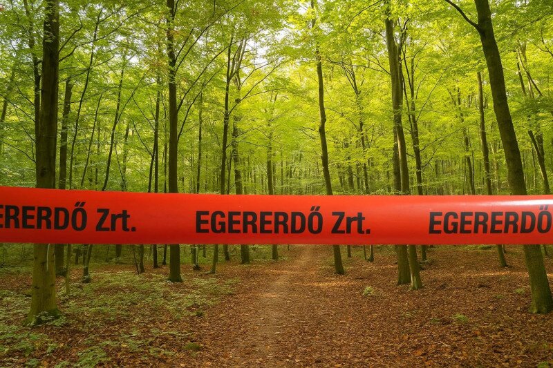 581307714_1301931541735360_8374166347729571268_n