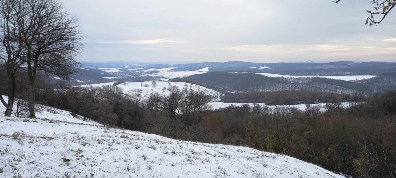 585287890_1629789211715885_7185557546909184477_n