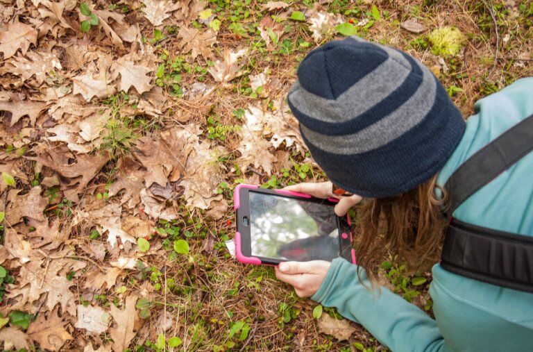 Menő közösségi tudományos projektek