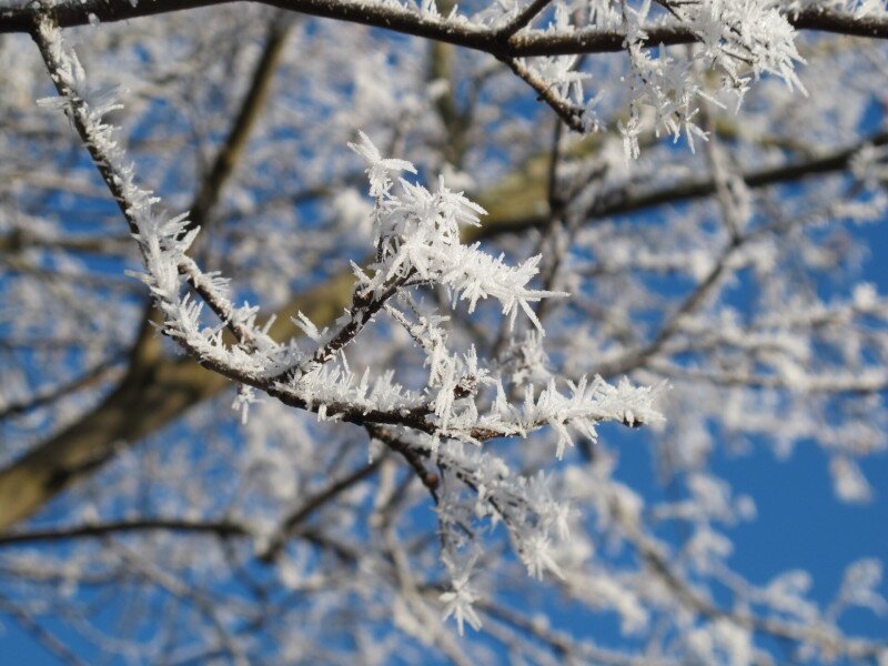 586340901_847623064516079_5859995456318308116_n