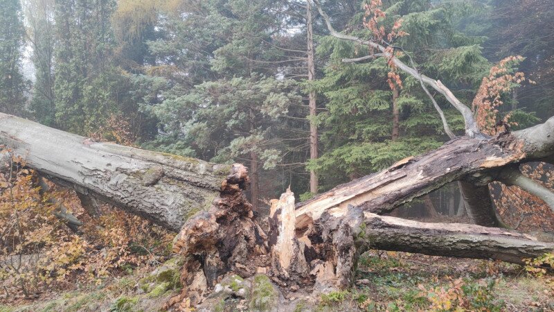 586599659_1418964993562028_6908200858479628746_n