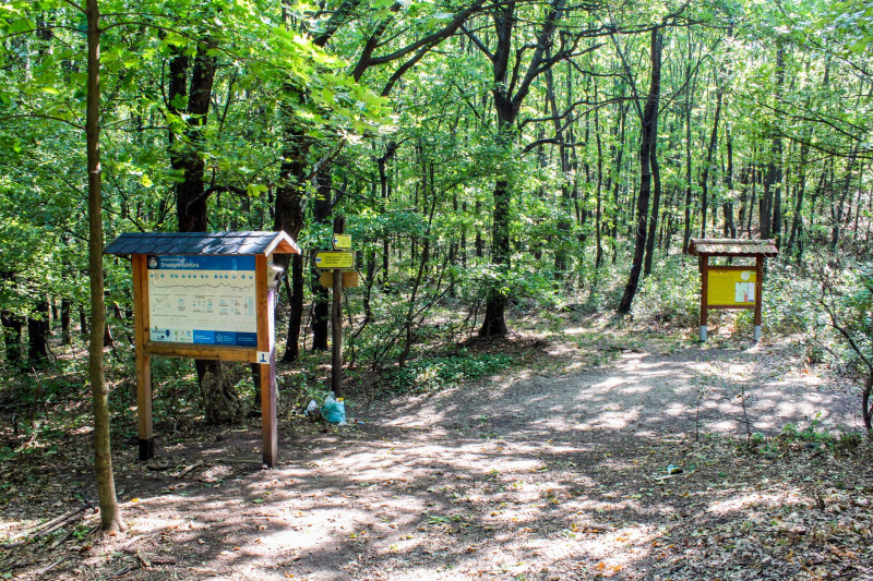 ������������������������������������������������������������������������������������������������������������������������������������������������������������������������������������������������������������������������������������������������������������������������