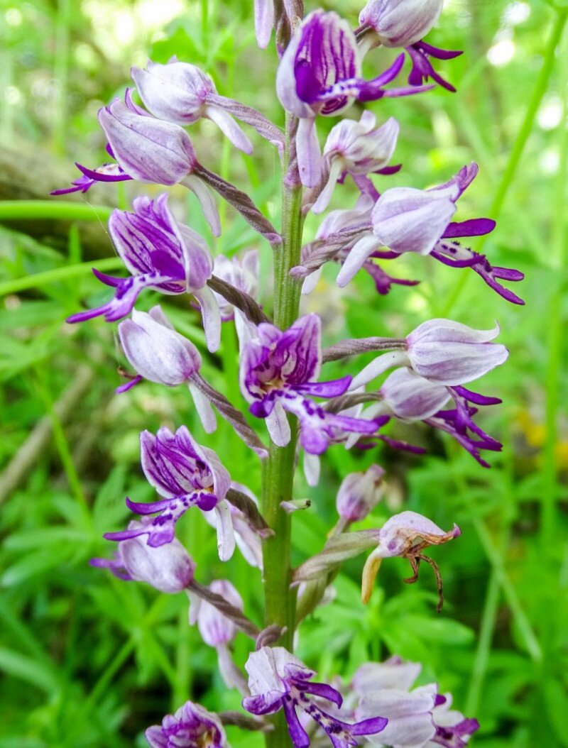 ����������������������������������������������������������������