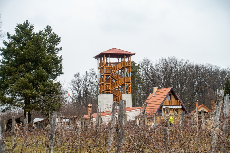 5 szőlőhegy Ciszter kilátó