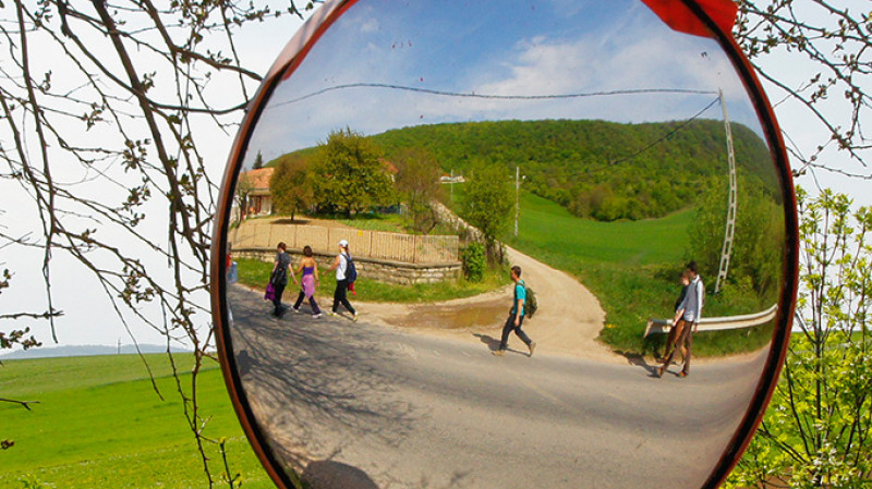 60-tarjan-hatara(1).jpg