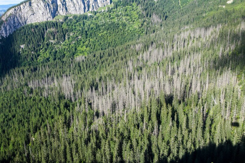 ������������������������������������������������������������������������������������������������������������������������������������������������������������������������������������������������������������������������������������������������������������������������