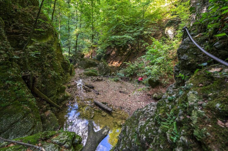 Szurdok vagy szurdik? Mi a különbség?