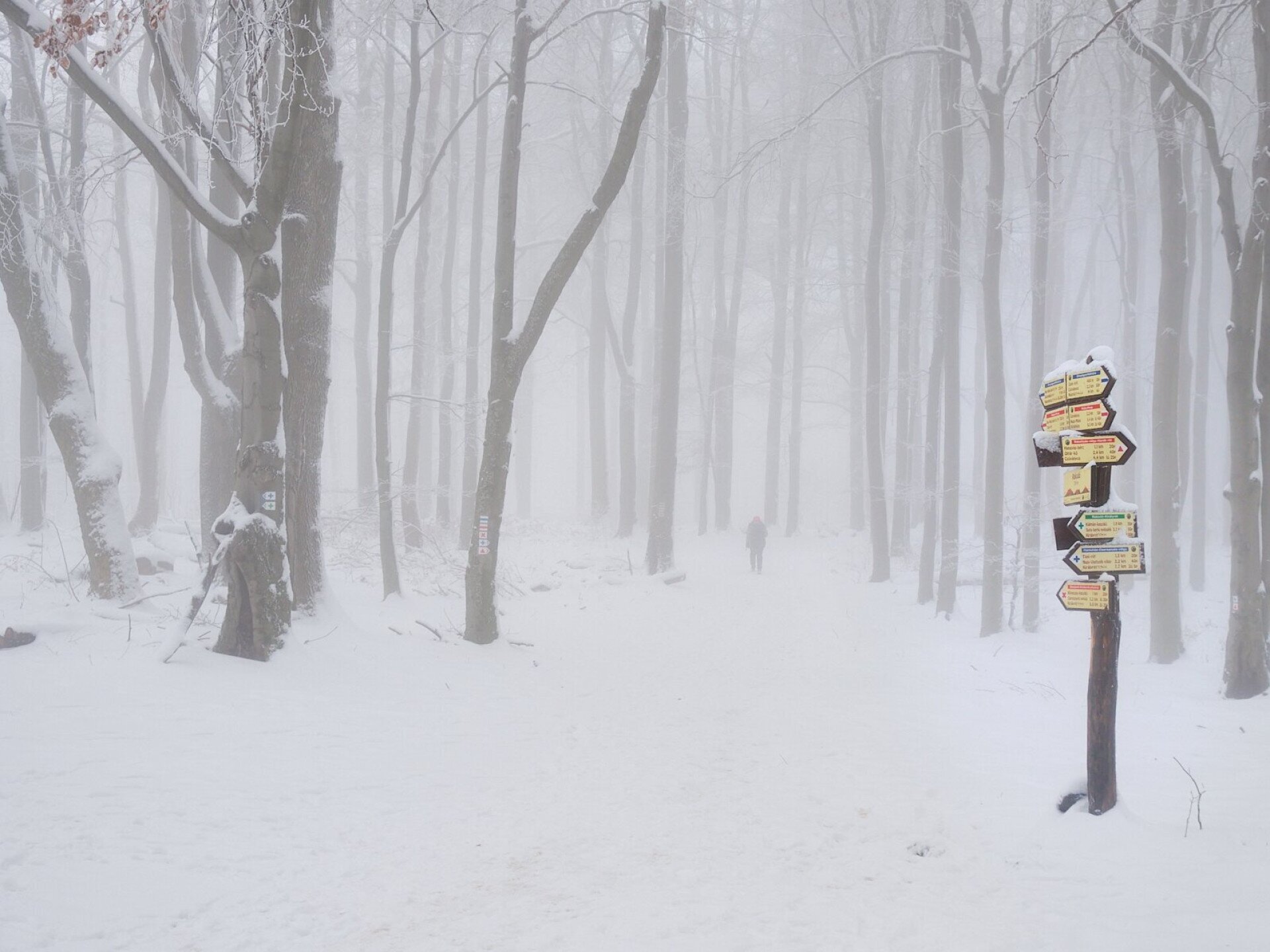 A Természetjáró csapata is megtaposta a friss havat – galéria