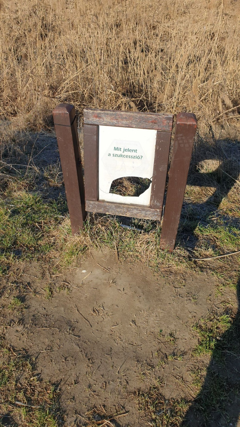 �������������