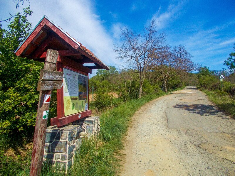 �������� �