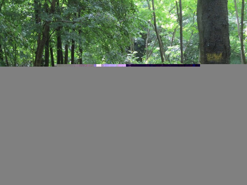 6_Itt_egykor_vasut_jart