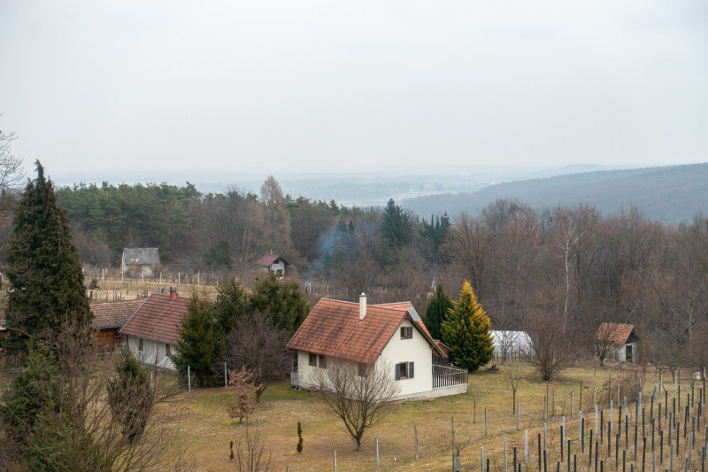 6 szőlőhegy kilátásciszter kilátóból
