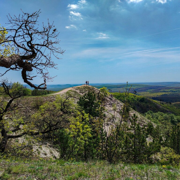 A kétarcú Csergezán-kör