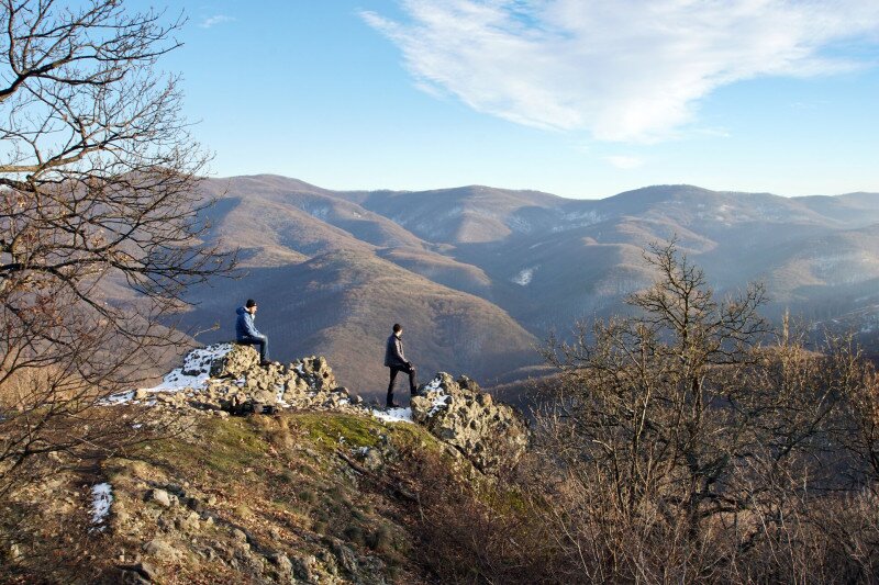 ����������������������������������������������������������������