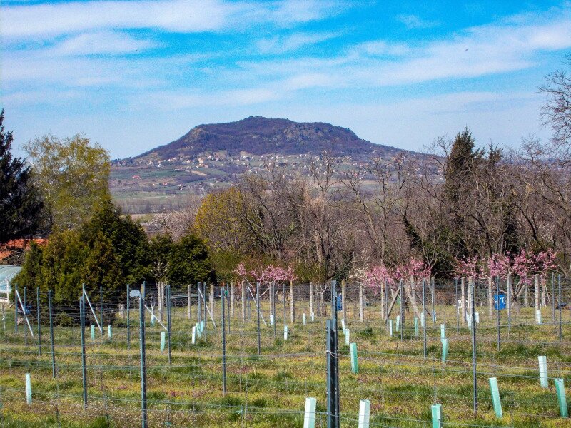 ��������                                                                                                                       �